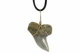 Fossil Mako Tooth Necklace - Bakersfield, California #95261-1
